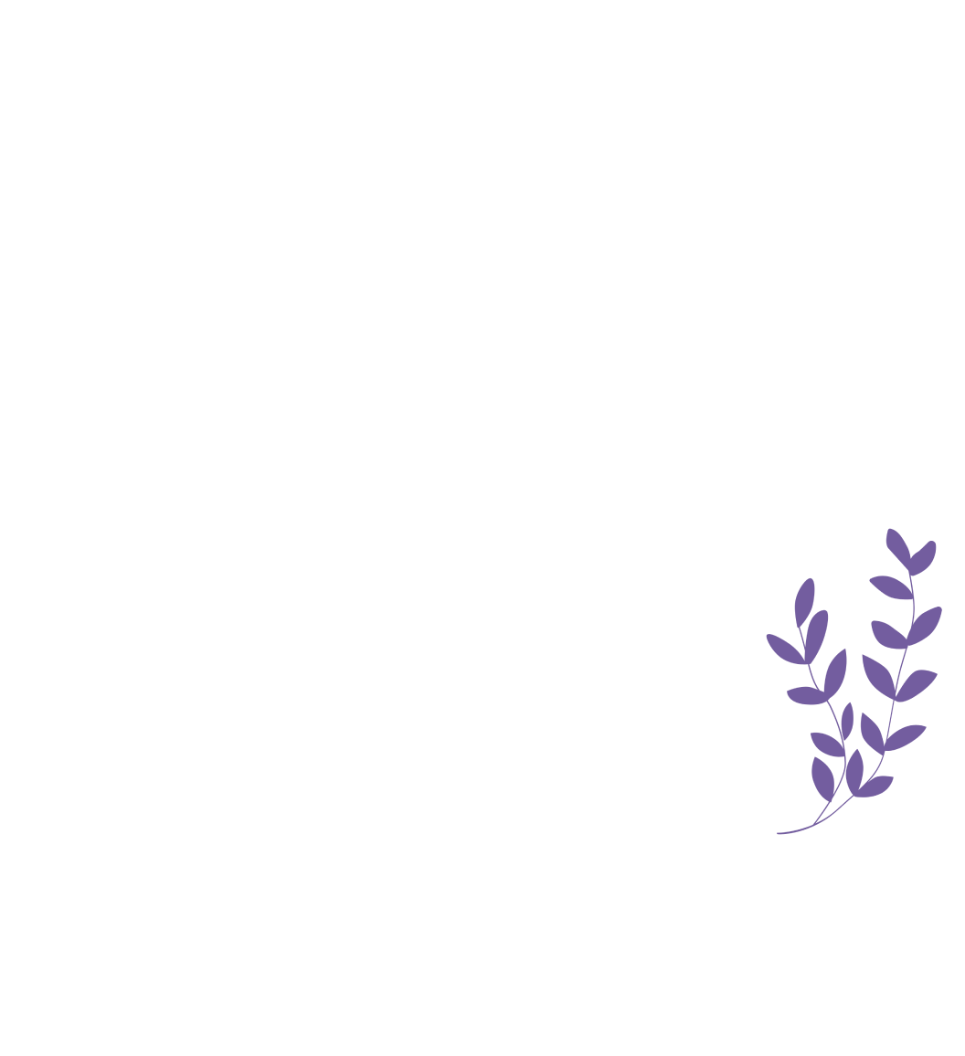 Home Banner
