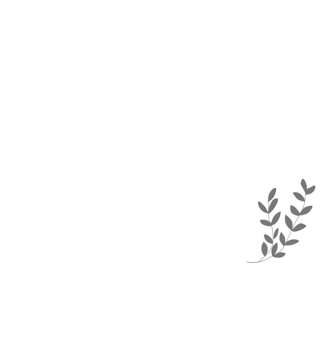 Home Banner