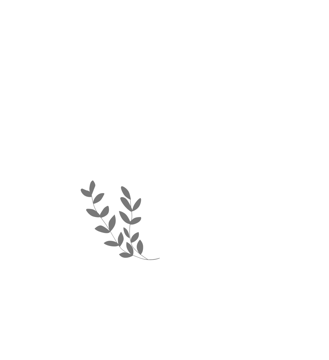 Home Banner